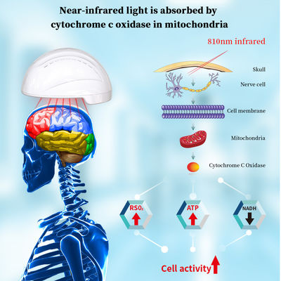 810nm Hełm z fotobiomodulacją światła podczerwonego LED do poprawy choroby Alzheimera