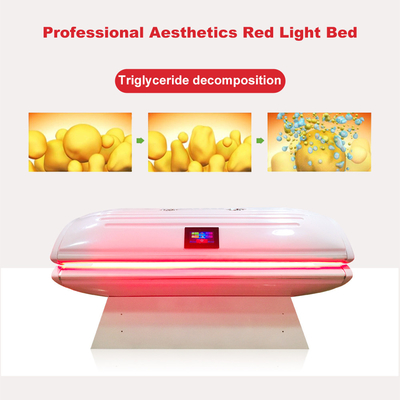 Fotodynamiczne łóżko kolagenowe PDT Red Light do rzeźbienia ciała